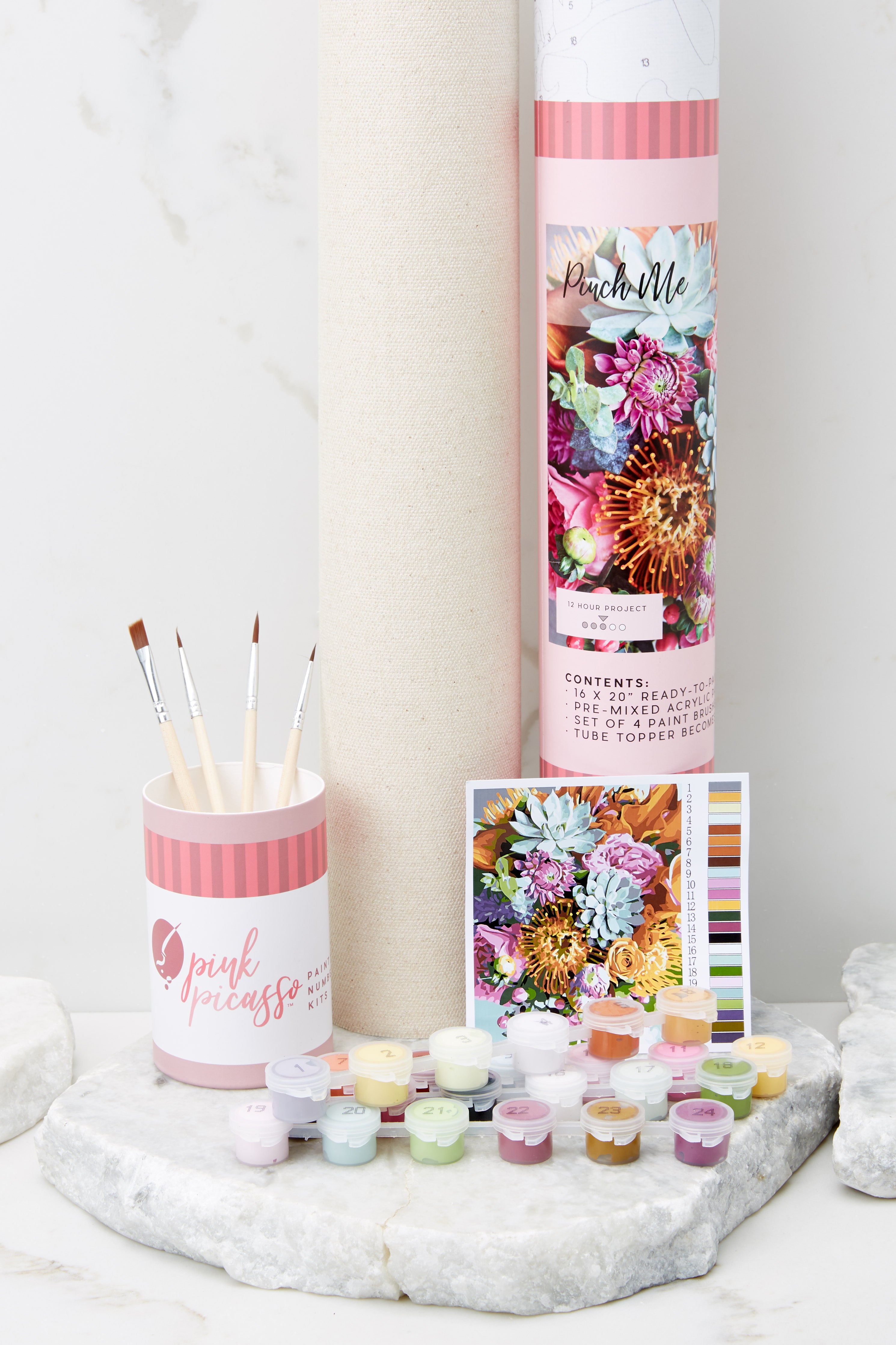 Pinch Me Paint By Numbers Kit